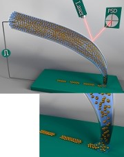 NanoInk/Fountain Pen