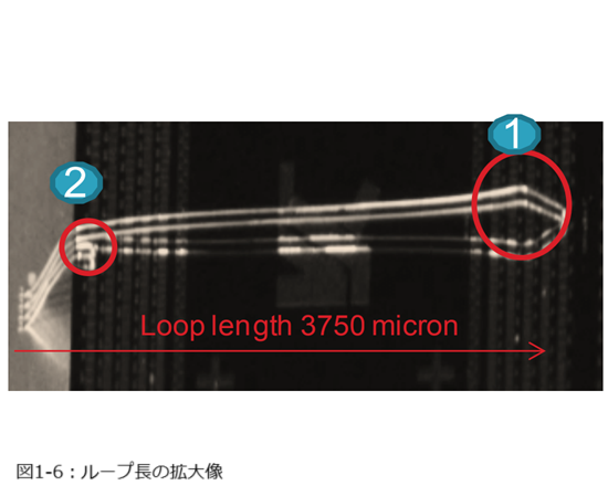 図1-6：ループ長の拡大像