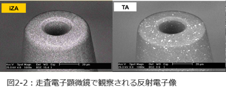 図2-2：走査電子顕微鏡で観察される反射電子像